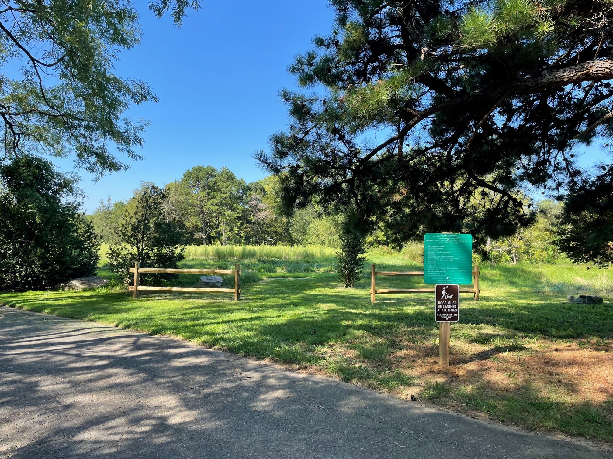 Entrance from parking